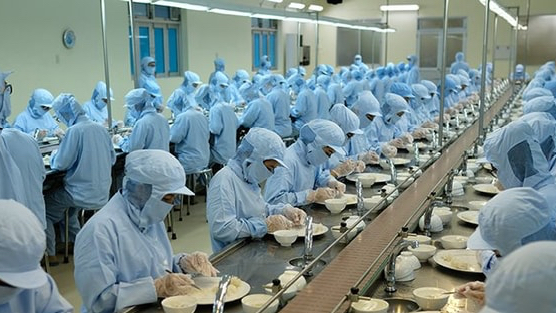 Một doanh nghiệp nhà nước giải thể 11 đơn vị và công ty con