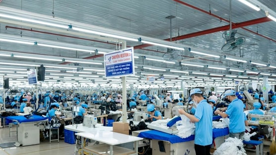 Công ty Dệt may trả cổ tức 25% bằng tiền mặt