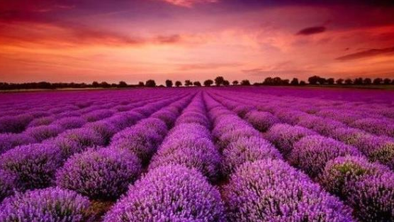 Doanh nghiệp BĐS đầu tiên công bố lợi nhuận 2025 tăng hơn 100%, cổ phiếu lập tức 