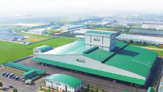 Một đại gia chăn nuôi báo lãi 1.700 tỷ trong 6T2025, gần gấp đôi Nông nghiệp Hòa Phát và Dabaco