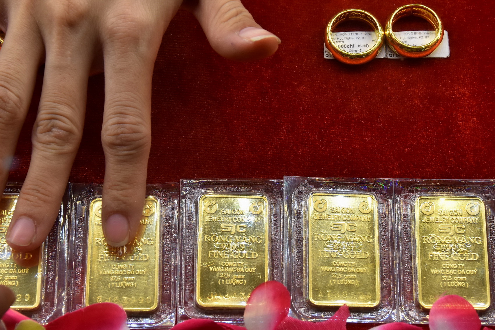 Giá vàng miếng và vàng nhẫn tiếp tục 