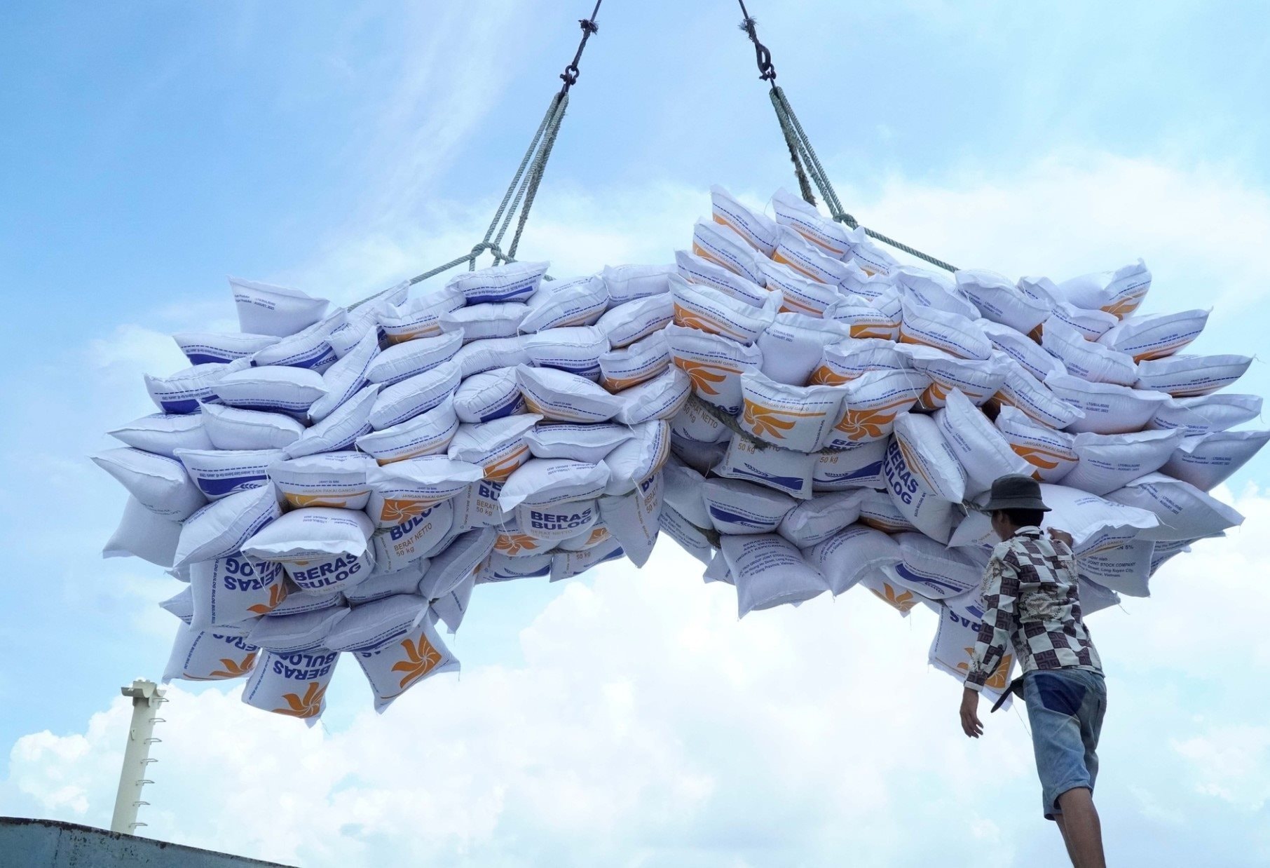 Thu hẹp khoảng cách với gạo Thái Lan và Ấn Độ, giá gạo Việt Nam trên đà phục hồi?