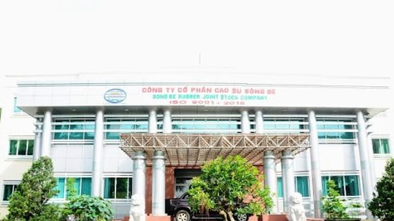 Cao su Sông Bé (SBR) bị phạt nặng vì “hô biến” kết quả kinh doanh từ lỗ thành lãi