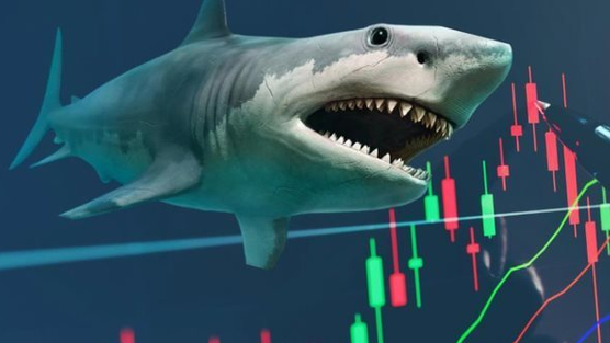 Bộ đôi VIC và VHM có thể bị 2 quỹ ETF ngoại lâu đời nhất TTCK Việt Nam bán mạnh trong đợt cơ cấu tháng 6