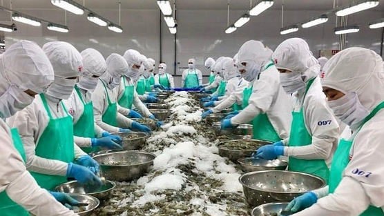 Xuất khẩu thủy sản tăng trưởng mạnh thu về hơn 4 tỷ USD trong 5 tháng