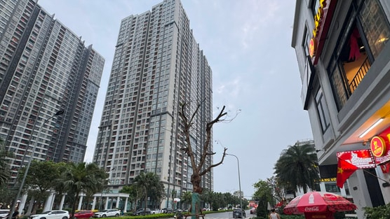 Đâu là tâm điểm tăng giá của thị trường chung cư?