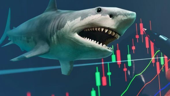 CTCK điểm tên loạt doanh nghiệp có tiềm năng tăng trưởng, kỳ vọng 