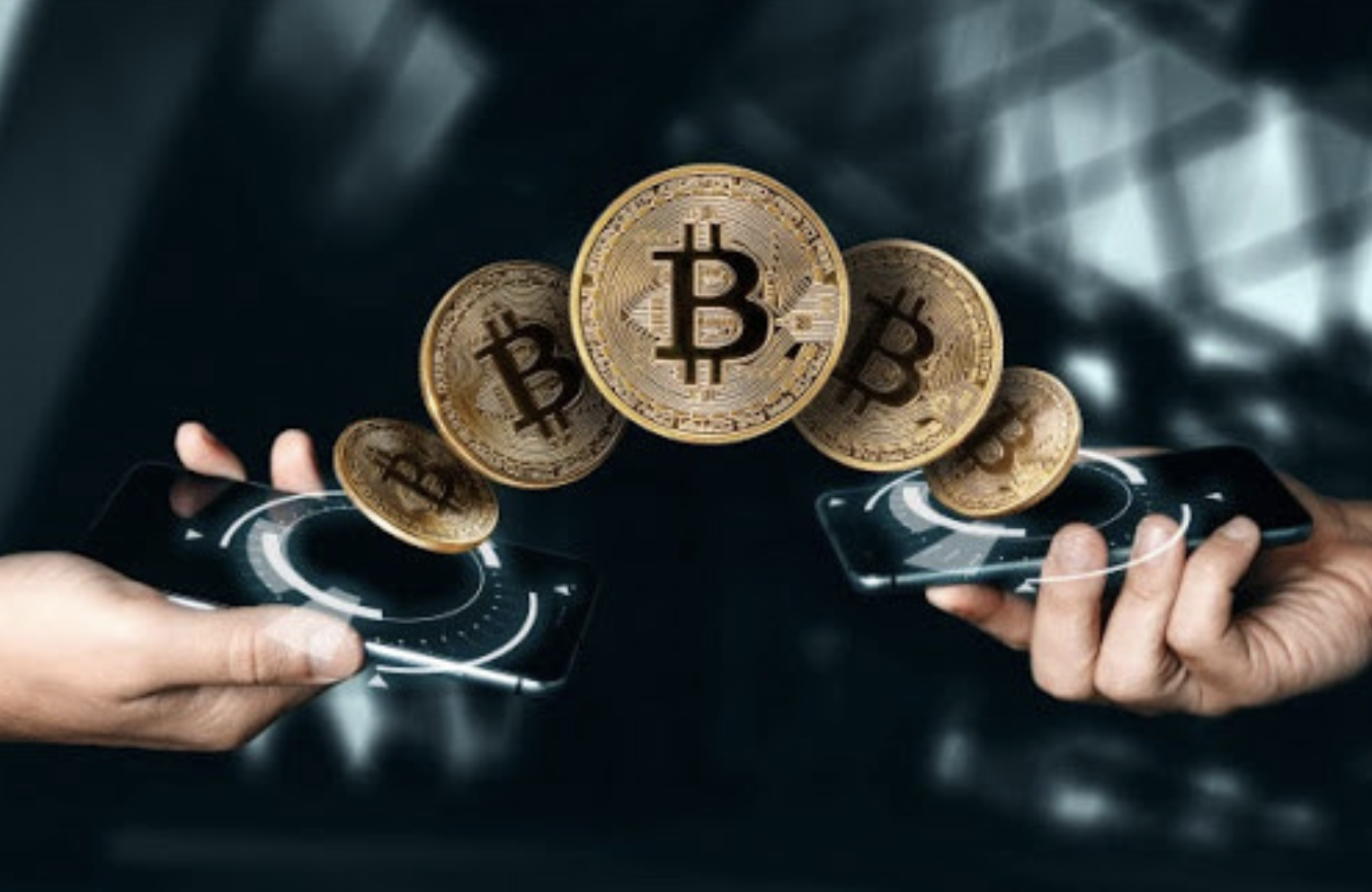 Tài sản số nào nên được chọn giao dịch ở Việt Nam?