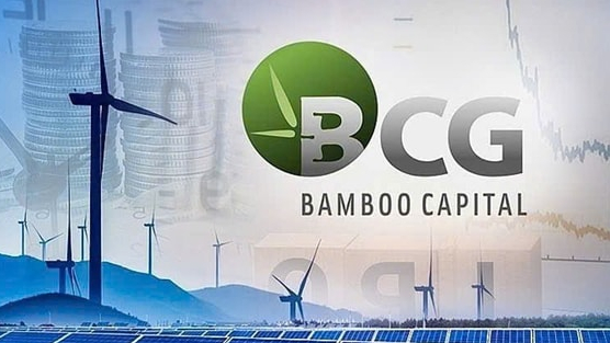 Cổ phiếu “họ” Bamboo Capital bất ngờ được nhà đầu tư “gom” đột biến, đồng loạt tăng “bốc đầu”
