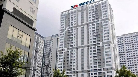 Nhóm Dragon Capital, SHS, VietinbankSC... rót gần 1.500 tỷ đồng vào Taseco Land, lập tức 