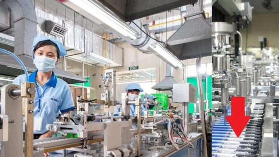 Bán sản phẩm chỉ bằng cốc trà đá khiến 74 quốc gia đặt mua, DN Việt lại “chơi lớn” ở “xứ sở nghìn đảo”