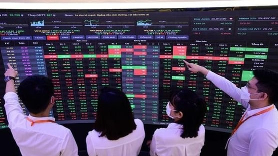 CTCK chỉ tên 6 doanh nghiệp đầu ngành có định giá hợp lý và triển vọng lợi nhuận tăng trưởng trong quý 3/2025