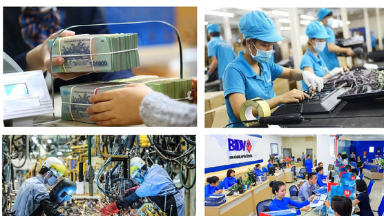 Tháng 8, số doanh nghiệp thành lập mới tăng 52,9% so với cùng kỳ 2024