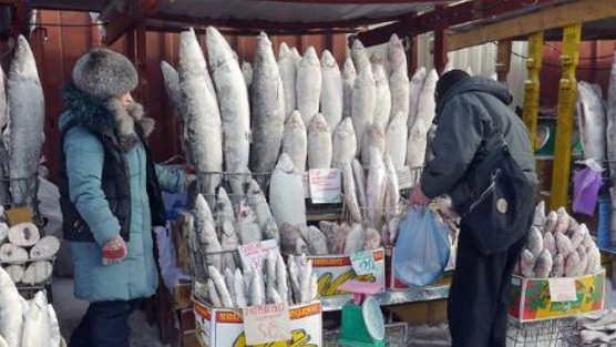 Không phải dầu thô hay khí đốt, một mặt hàng của Nga được người châu Âu cực mê: Chi hơn 700 triệu euro mua hàng, giá cao nhất trong nhiều năm