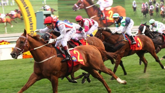 Thị phần môi giới của SSI trên HoSE lên cao nhất 22 quý