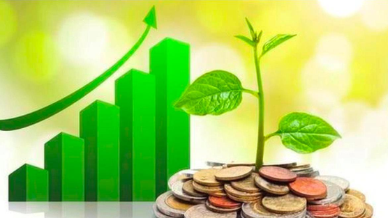 Lịch chốt quyền cổ tức tuần 2/3– 6/3: Cổ tức tiền mặt cao nhất 100%