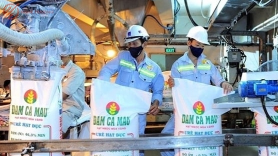 Một doanh nghiệp phân bón lớn lên kế hoạch lãi sụt giảm 40%