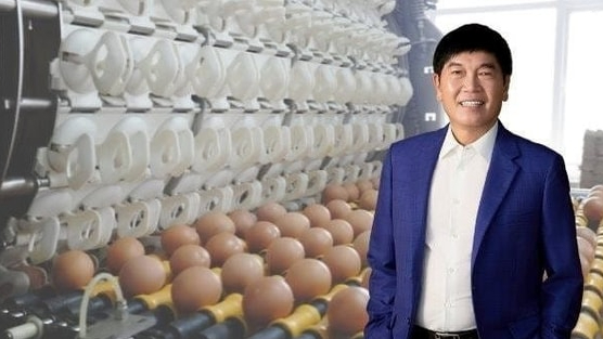 Nông nghiệp Hòa Phát đặt kế hoạch giảm 37% lợi nhuận, trả cổ tức 30%