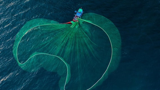 Loạt dự báo bất ngờ về thị trường chứng khoán sau phiên giảm điểm kỷ lục