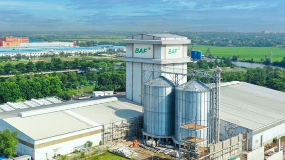 BAF muốn chia thưởng và trả cổ tức 20%, đưa CEO Siba Holdings vào Hội đồng quản trị