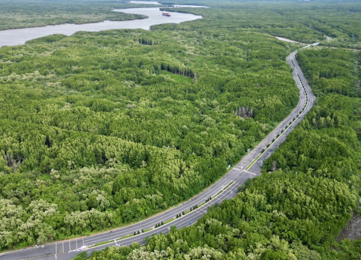 TP.HCM giao Vingroup nghiên cứu nâng cấp đường Rừng Sác lên 10 làn xe