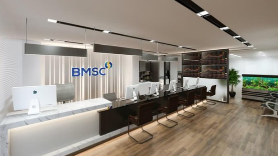 Chứng khoán Bảo Minh (BMS) bị phạt 780 triệu đồng vì loạt sai phạm trong công bố thông tin