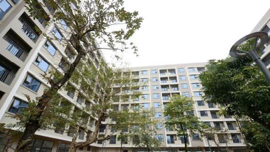 TP.HCM bước vào “kỷ nguyên thuê nhà”: Giá căn hộ gấp 25 lần thu nhập người dân