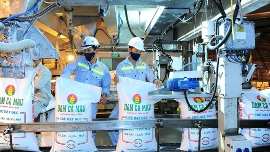 Sau nhịp giảm gần 30% từ đỉnh, một cổ phiếu phân bón được dự báo còn dư địa tăng 40%