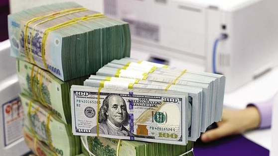 Vì sao tỷ giá USD ổn định dù Việt Nam nhập siêu gần 14 tỷ USD?