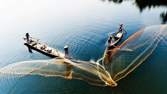 Khối nội tung hàng trăm nghìn tỷ vào chứng khoán Việt Nam, cân lại lực bán ròng từ khối ngoại