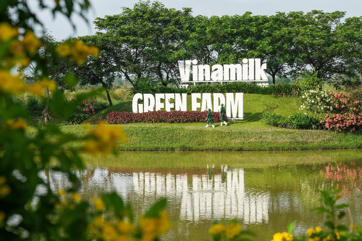 vnm1.jpg