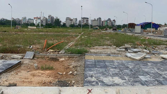 Đất đấu giá hạ nhiệt, thị trường dần đi vào thực chất