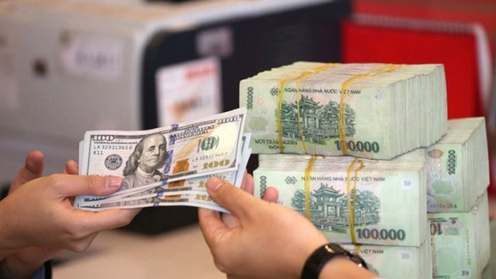 NHNN hút ròng hơn 31.000 tỷ đồng khỏi hệ thống ngân hàng