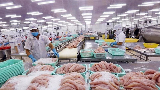 Doanh thu quý II giảm 74%, doanh nghiệp thủy sản vẫn báo lãi tăng hơn 200%, tiền chiếm 73% tài sản: Điều gì đã xảy ra?