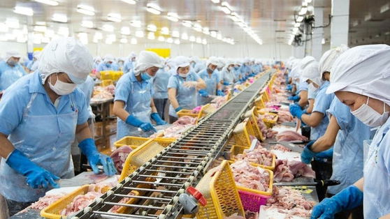 Con trai 'vua cá rô phi' lần thứ 3 mua thêm 1 triệu cổ phiếu ANV khi thị giá giảm gần 40% từ đầu năm