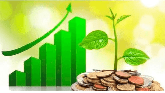 Lịch chốt quyền cổ tức tuần 17-21/8: Cổ tức tiền mặt cao nhất 44%, một 