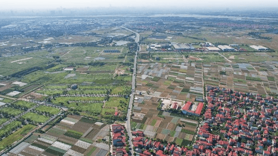 Thị trường đất nền 