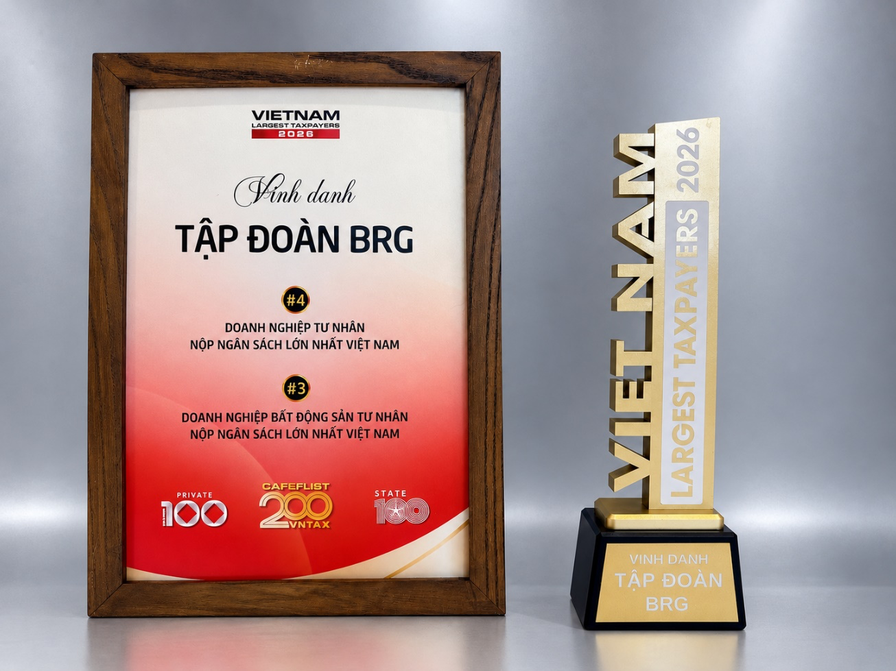 Tập đoàn BRG lọt Top 4 doanh nghiệp tư nhân nộp ngân sách lớn nhất Việt Nam
