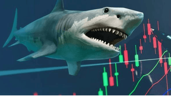 Dư báo VN-Index hướng lên vùng 1.850-1.870 trong tháng 9, CTCK chỉ ra loạt cổ phiếu kỳ vọng 