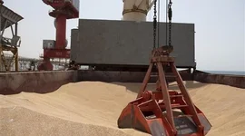 Liên hợp quốc lạc quan về gia hạn thỏa thuận xuất khẩu ngũ cốc qua Biển Đen
