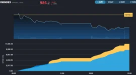 VN-Index thủng mốc 1.000 điểm, riêng HOSE đã có có gần 150 mã giảm sàn