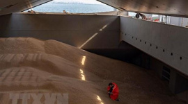 Nga bắt đầu dừng tham gia thỏa thuận ngũ cốc trên Biển Đen