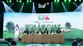 Mỗi ngày BAF “bỏ túi” 1,75 tỷ đồng lợi nhuận trong quý 3/2022