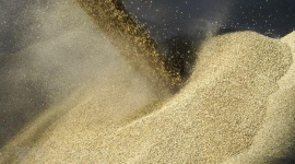 Nga không muốn gián đoạn chuỗi an ninh lương thực toàn cầu