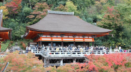 Doanh nghiệp Việt đặt nhiều kỳ vọng vào sự khởi sắc của du lịch Nhật Bản