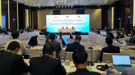 Việt Nam có thể mất 15% GDP vào năm 2040 nếu không giảm được phát thải các bon