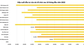 Quỹ nào trên thị trường chứng khoán có hiệu suất "tệ" nhất sau 10 tháng đầu năm 2022?