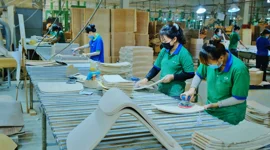 Giải ”cơn khát” gỗ hợp pháp cho các làng nghề