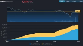 VN30 cố giải cứu thị trường nhưng vẫn còn sự tổn thương ở nhóm Midcap và Penny