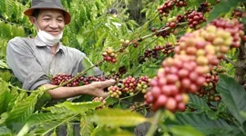 "Điểm sáng" Việt Nam trong bức tranh kinh tế thế giới năm 2022